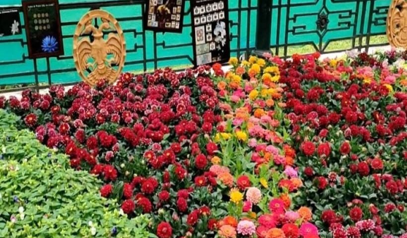 महामारी के कारण बेंगलुरू का प्रतिष्ठित फूल शो स्थगित