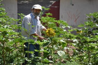 Organic farming