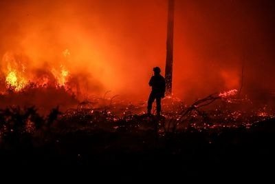 A firefighter walks past the flames of a forest fire near Belin-Beliet