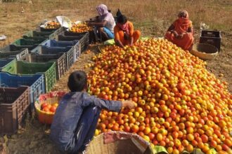 Market made available for the produce of women farmers in Jharkhand