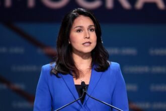 Tulsi Gabbard