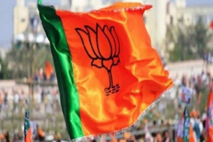 BJP Flag