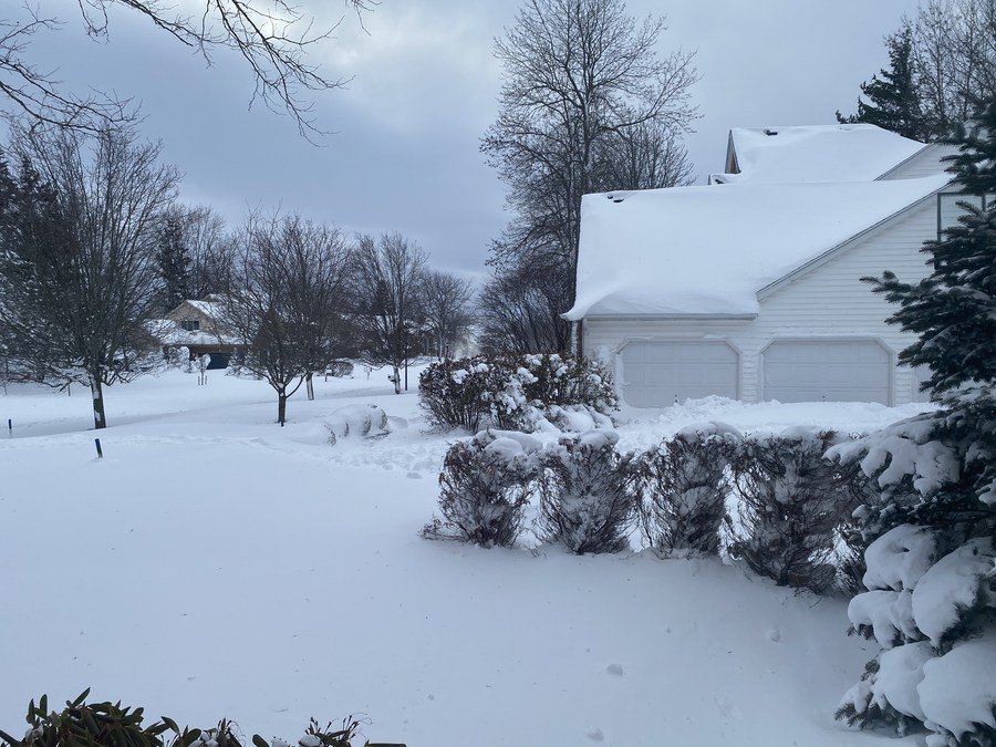 Heavy snow blankets the court yard of a house and surrounding areas in Amherst