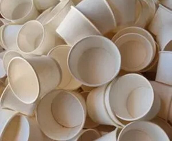 Ahmedabad - tea paper cup ban