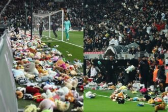 Fans shower football field with toys