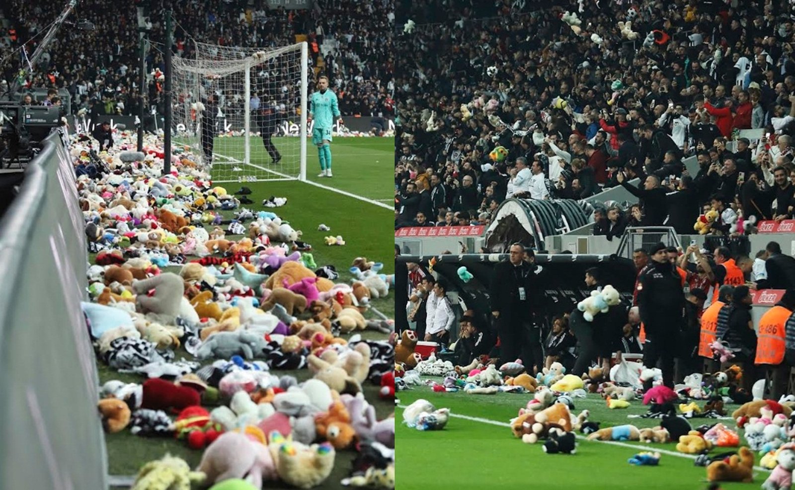 Fans shower football field with toys