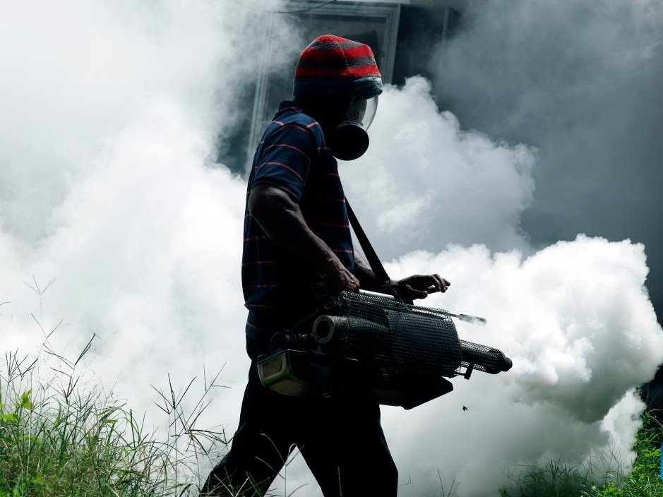 A worker sprays insecticide