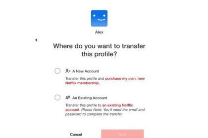 Now transfer Netflix profile to existing account