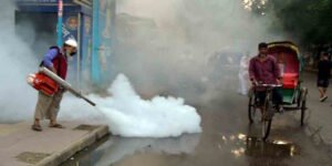 B'desh records highest single-day dengue deaths