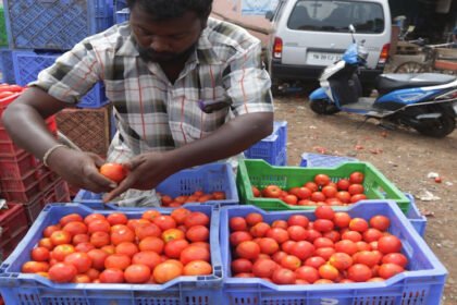 A vegetable vendor