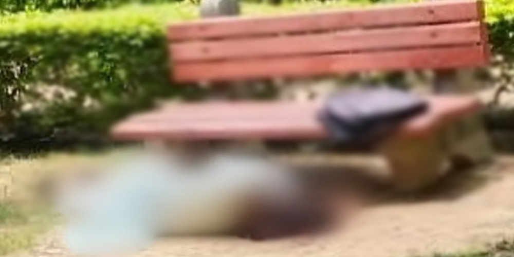 Delhi woman dies in park after man hits her with rod