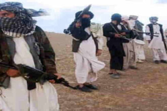 Foreign militants in Taliban